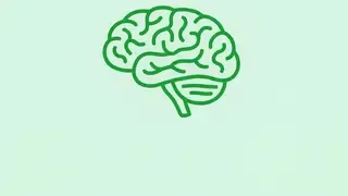 Memória, agy és látás